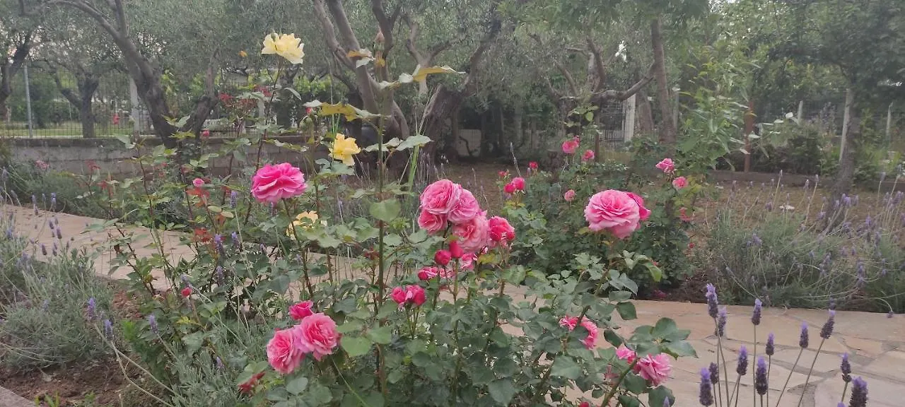Villa Harmony Vergia